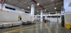 Gul Circle (D22), Factory #521881831